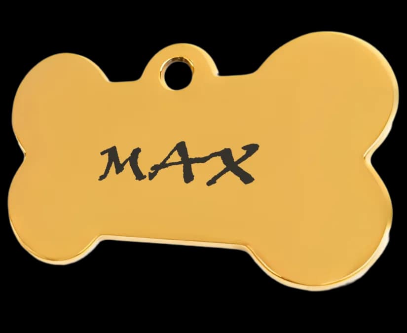 Placa personalizada para mascotas - Diseño 1