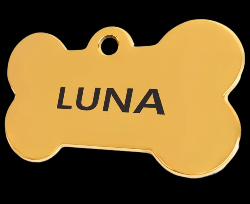 Placa personalizada para mascotas - Diseño 3